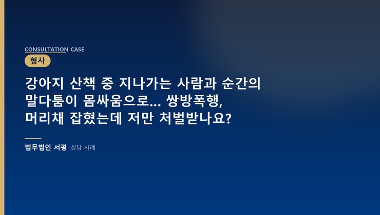 강아지 산책 중 지나가는 사람과 순간의 말다툼이 몸싸움으로… 쌍방폭행, 머리채 잡혔는데 저만 처벌받나요?